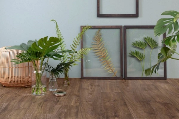 Brązowe panele winylowe 3