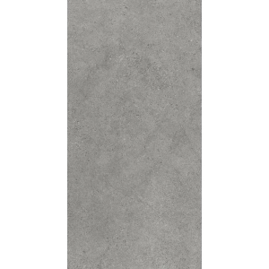 Authority Grey Gres Szkl. Rekt. Mat 59,8x119,8 Paradyż