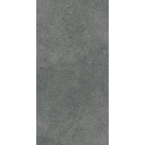 Authority Graphite Gres Szkl. Rekt. Mat 59,8x119,8 Paradyż
