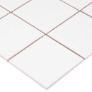 Carar C-WH01 Płytka 10x10 Dunin