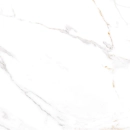 Verona Gold 60x60x7mm Rect. (1,44) Polished Egen