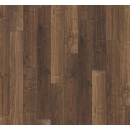 Orzech włoski TRENDTIME 1 (4V)
