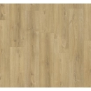Dąb nova wapnowany BASIC 600 (4V)