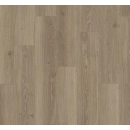 Dąb studioline macchiato BASIC 600 (4V)