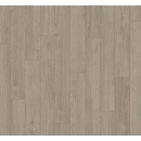 Dąb mont blanc szary TRENDTIME 1 (4V)