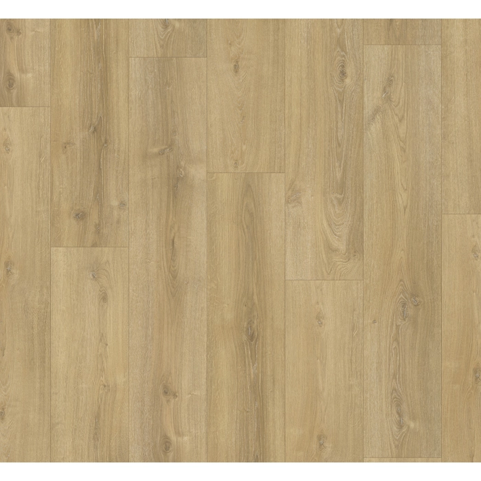 Dąb nova wapnowany BASIC 600 (4V)