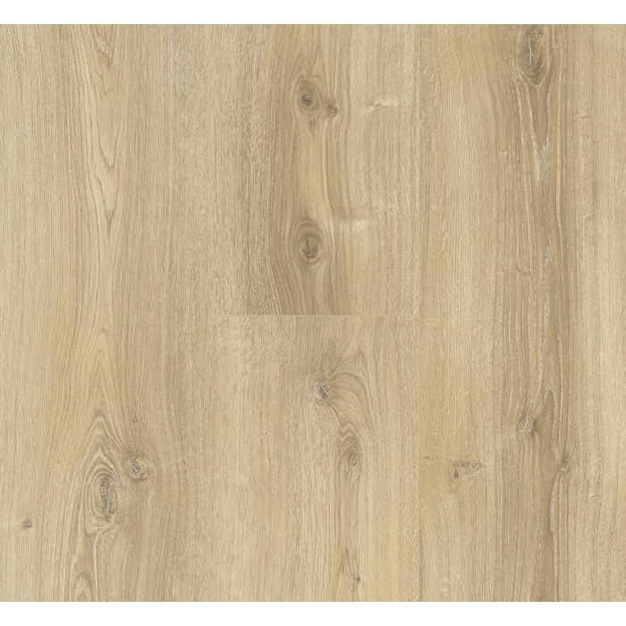 Dąb nova jasny wapnowany BASIC 600 (4V)