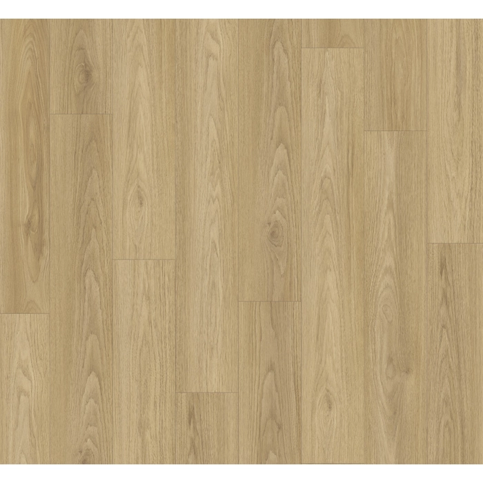 Hickory BASIC 400 (4V)