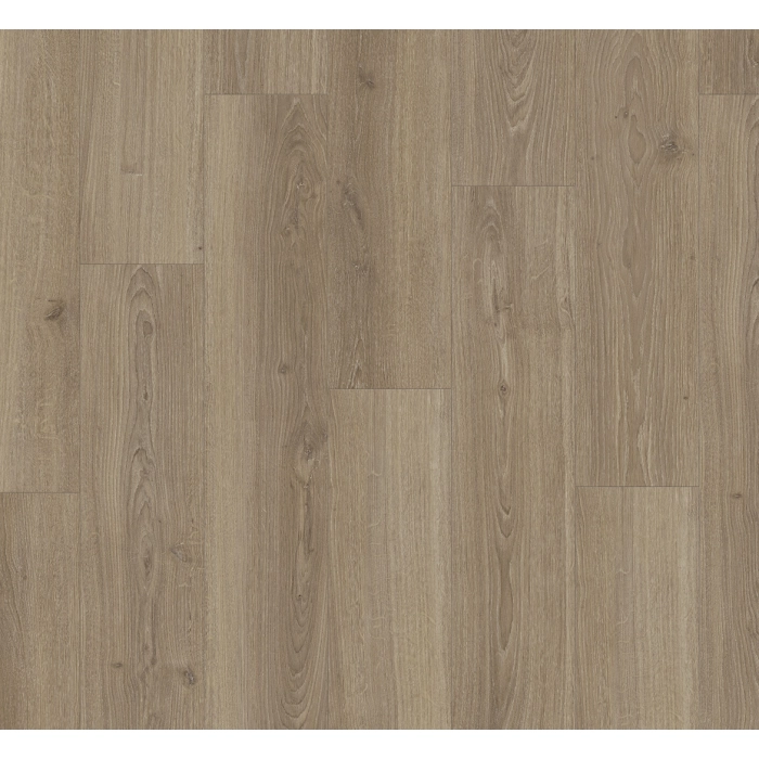 Dąb studioline macchiato BASIC 600 (4V)