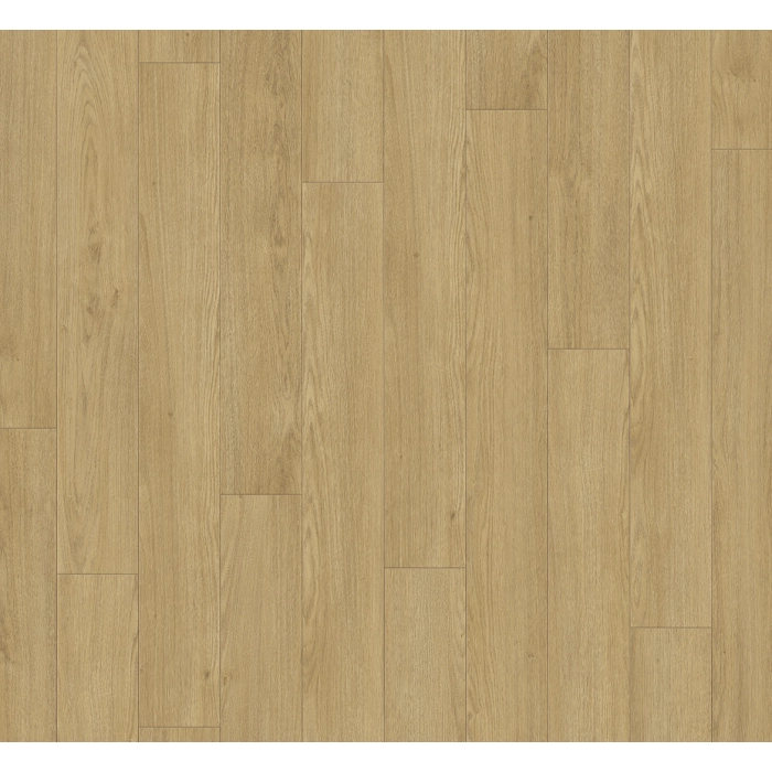 Dąb mont blanc naturalny TRENDTIME 1 (4V)