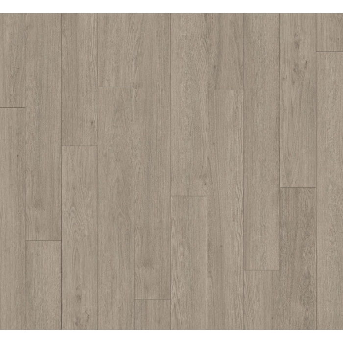Dąb mont blanc szary TRENDTIME 1 (4V)