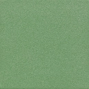Płytka podłogowa Mono zielone R 20x20 Tubądzin
