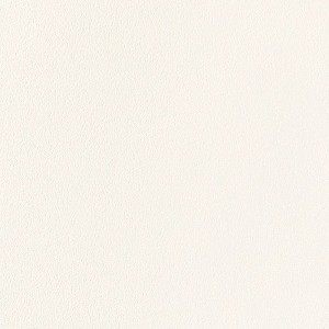 Płytka podłogowa All in white / white 59,8x59,8 Tubądzin