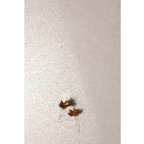 Albiano LAP 59,8x59,8x0,8 Tubądzin