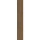 Woodcore Honey Gres Szkl. Rekt. Struktura Mat. 19,8x119,8 Paradyż