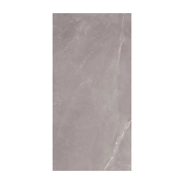 Ritual Grey Gres Szkl. Rekt. Mat 60x120 Paradyż