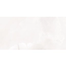 Obraz gresowy ścienny Albiano leaves left E 119,8x59,8x0,8 Tubądzin