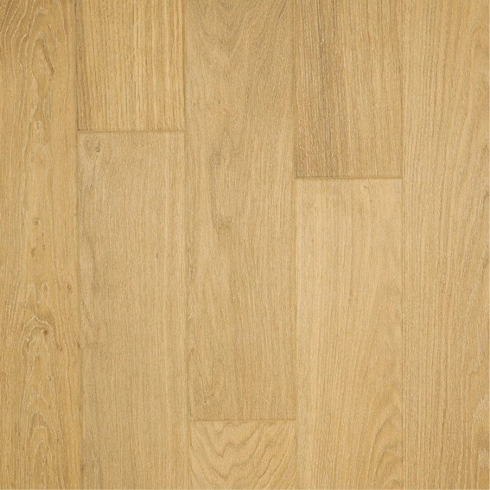 Gray World - Madagaskar Finishparkiet