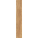 VCG Poland P Nandwood Brown Gres Szkl. Rekt. Struktura Mat. 19,8x119,8
